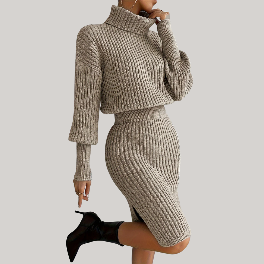 Chic Turtleneck Dress