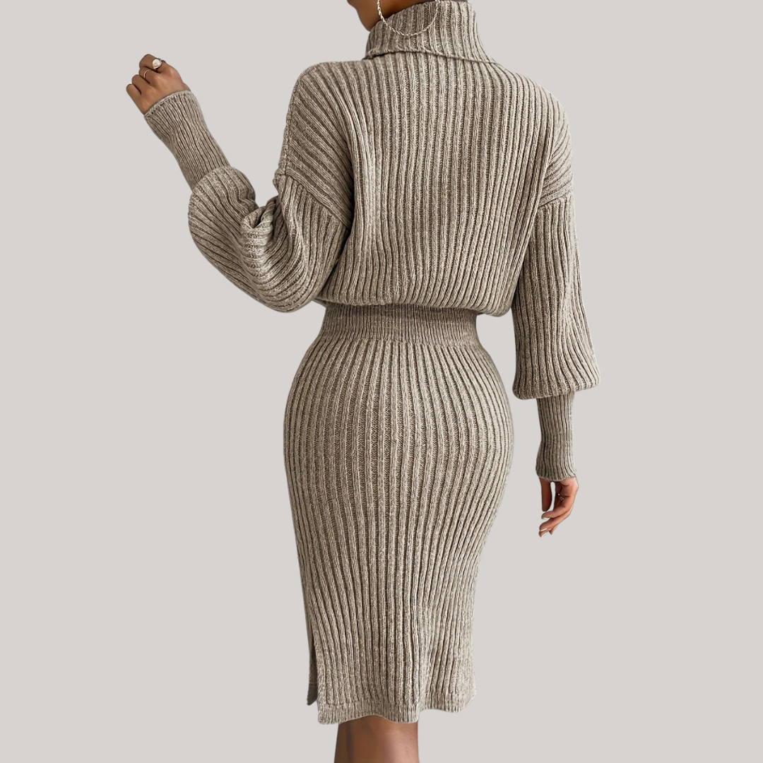 Chic Turtleneck Dress