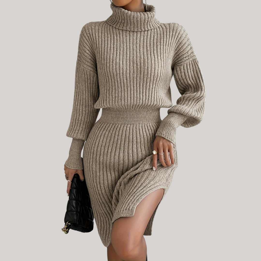 Chic Turtleneck Dress